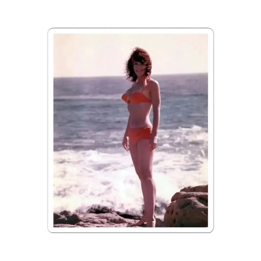 Francine York #48 (Vintage Female Icon) STICKER Vinyl Kiss-Cut Decal 2 Inch White - The Sticker Space