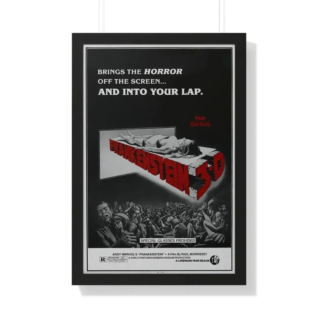 FRANKENSTEIN 3-D 1973 - Framed Movie Poster - The Sticker Space