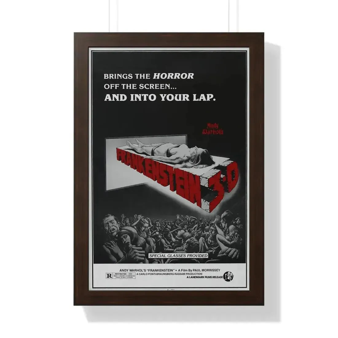 FRANKENSTEIN 3-D 1973 - Framed Movie Poster - The Sticker Space