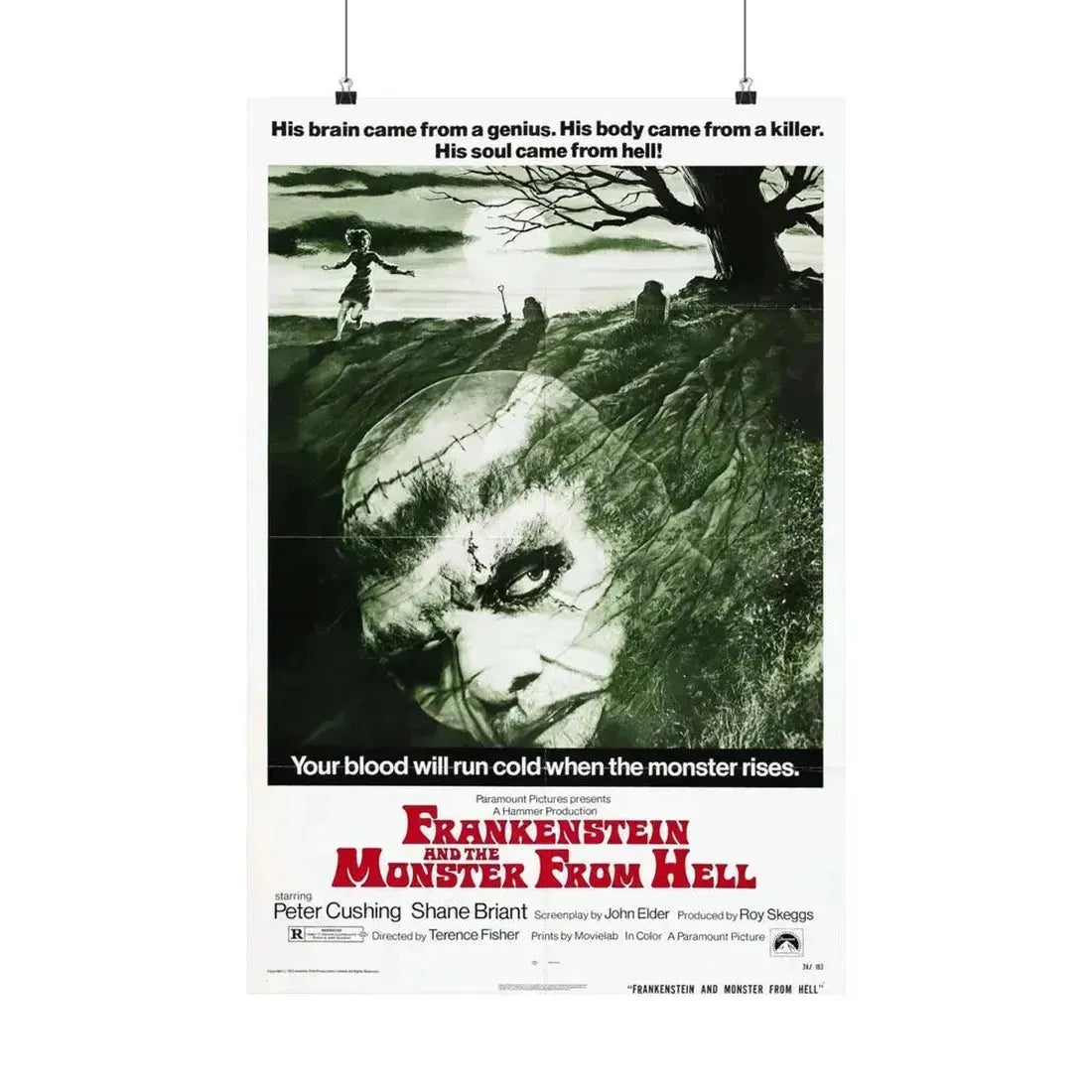 FRANKENSTEIN AND THE MONSTER FROM HELL (2) 1974 - Paper Movie Poster 20″ x 30″ Matte - The Sticker Space