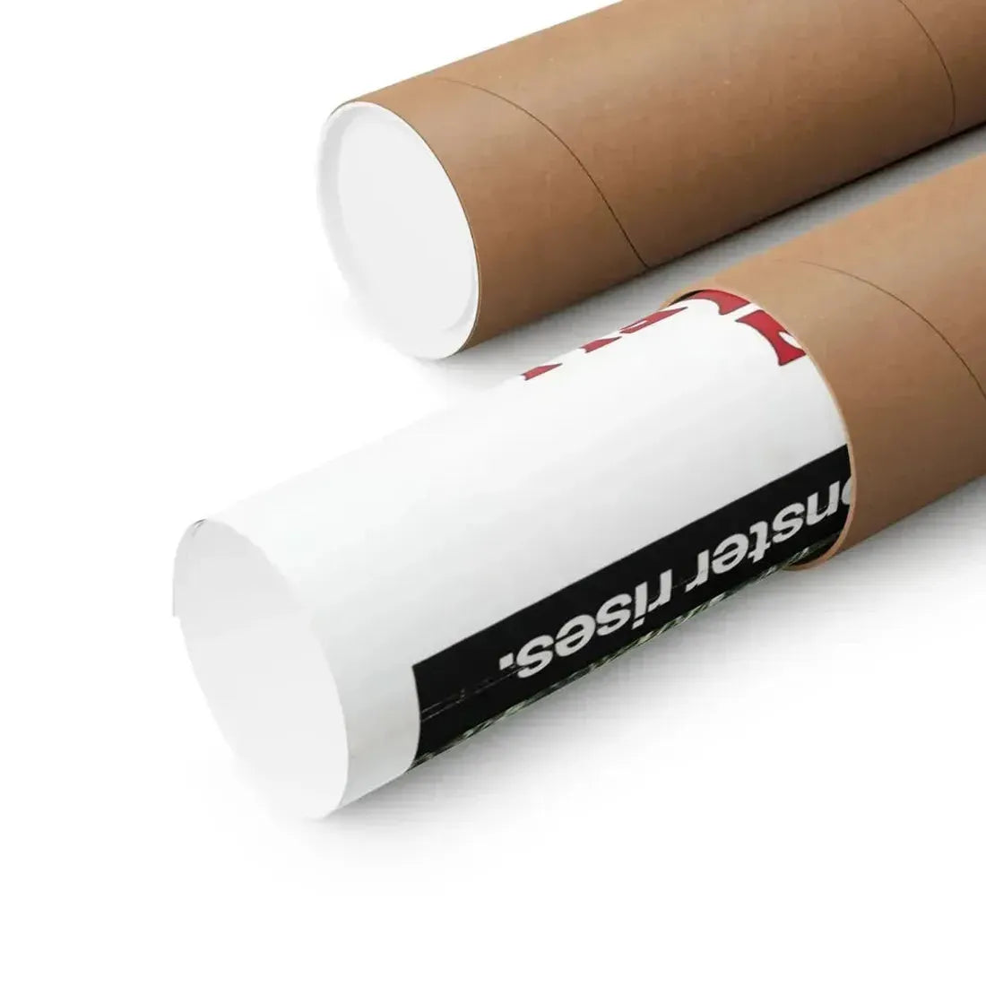 FRANKENSTEIN AND THE MONSTER FROM HELL (2) 1974 - Paper Movie Poster - The Sticker Space