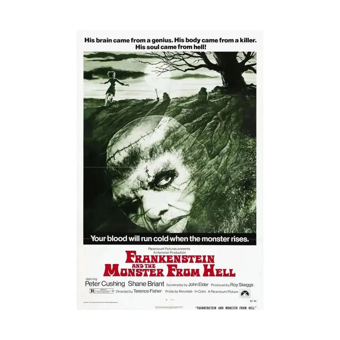 FRANKENSTEIN AND THE MONSTER FROM HELL (2) 1974 - Paper Movie Poster - The Sticker Space