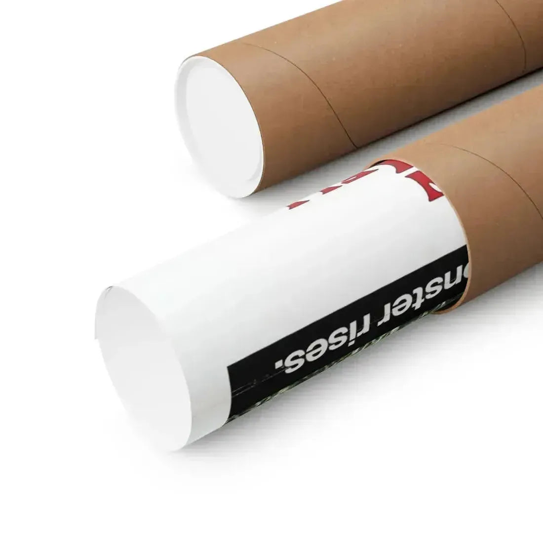 FRANKENSTEIN AND THE MONSTER FROM HELL (2) 1974 - Paper Movie Poster - The Sticker Space