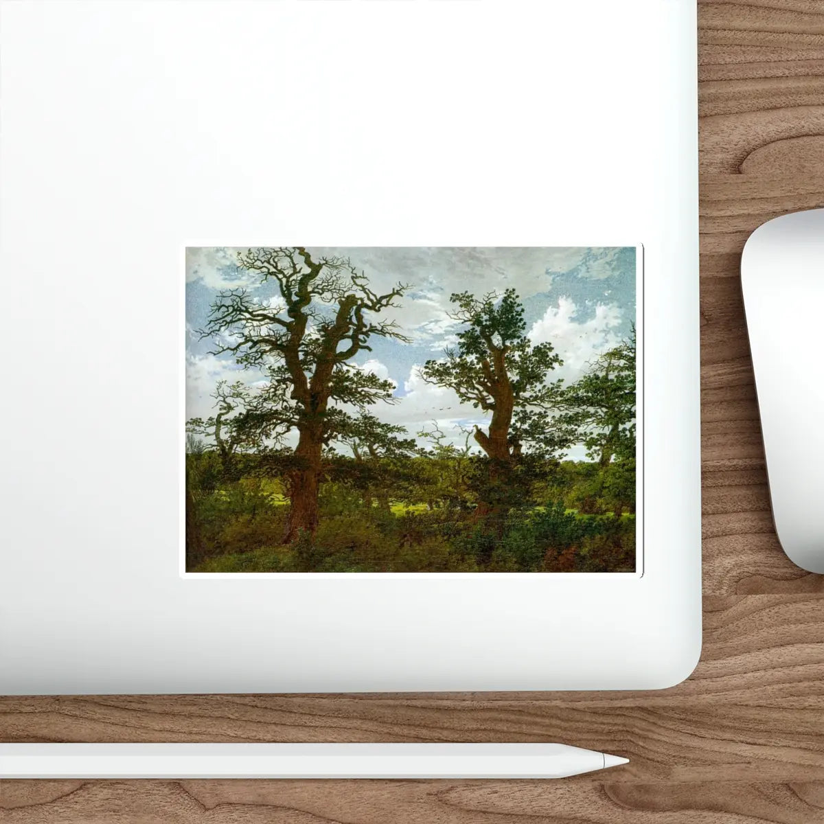 SKU:19502039753769352358 Sticker types:White Shape:Die-Cut Sizes:5" × 5"