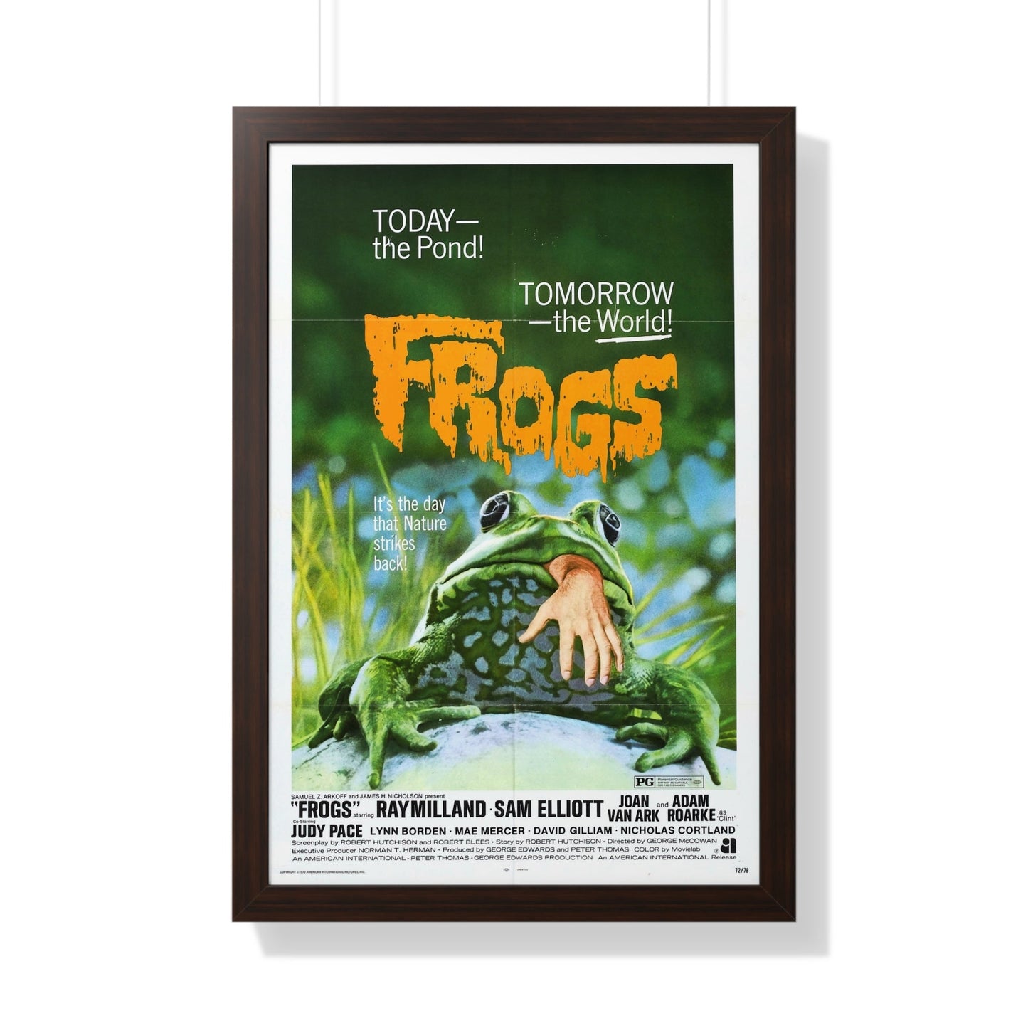 FROGS 1972 - Framed Movie Poster-20" x 30"-The Sticker Space