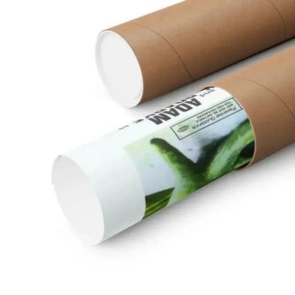 FROGS 1972 - Paper Movie Poster - The Sticker Space