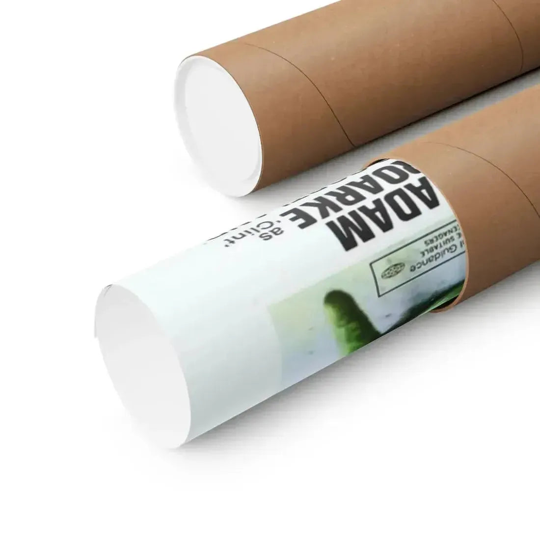 FROGS 1972 - Paper Movie Poster - The Sticker Space