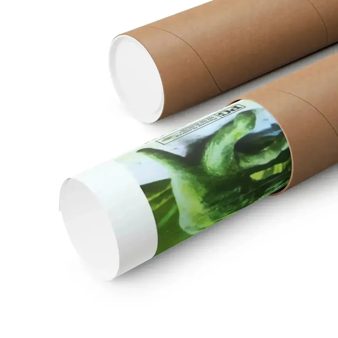 FROGS 1972 - Paper Movie Poster - The Sticker Space