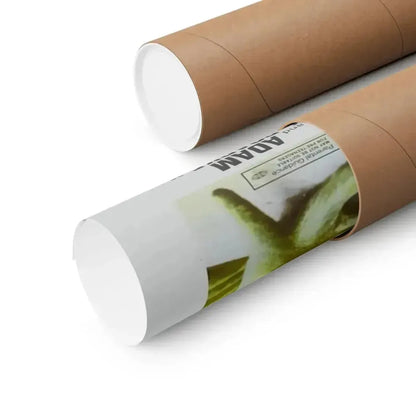 FROGS (2) 1972 - Paper Movie Poster - The Sticker Space