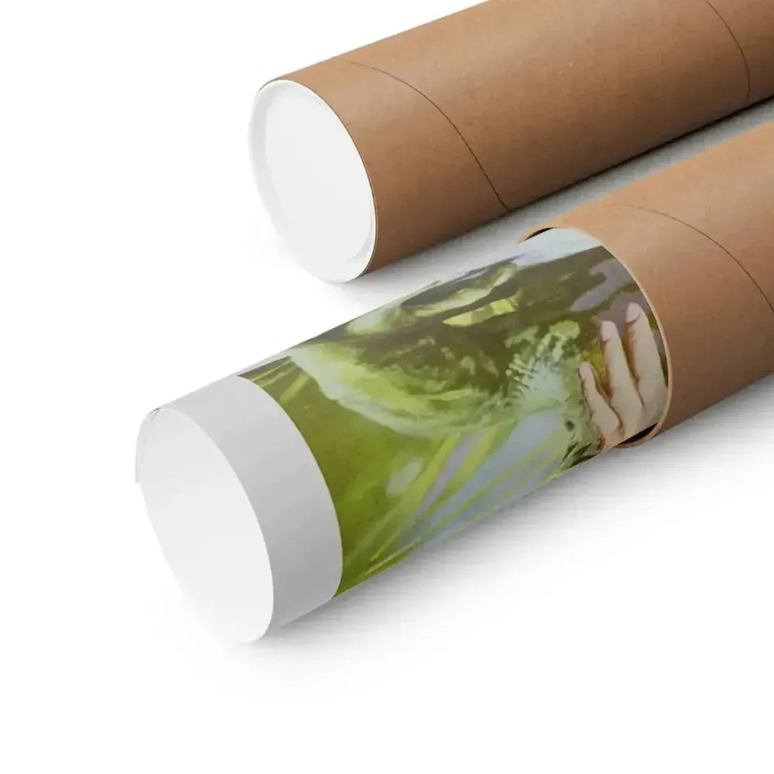 FROGS (2) 1972 - Paper Movie Poster - The Sticker Space