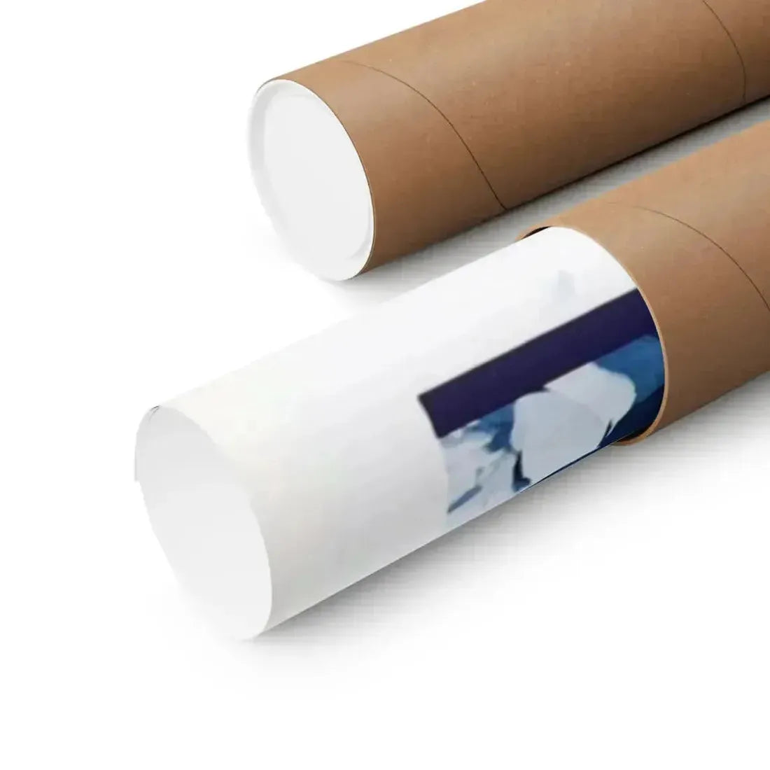 FROZEN ALIVE 1964 - Paper Movie Poster - The Sticker Space