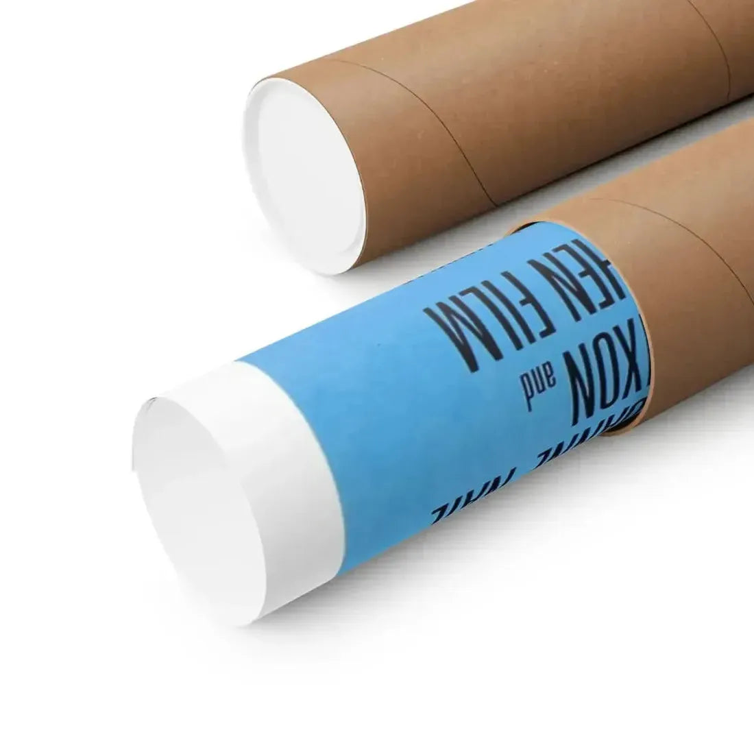 FULL MOON HIGH 1981 - Paper Movie Poster - The Sticker Space