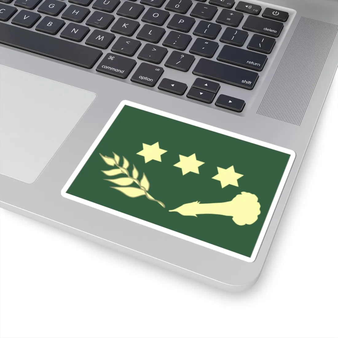 GenDivEB Faena (Bolivia) (Military Rank) STICKER Vinyl Kiss-Cut Decal - The Sticker Space