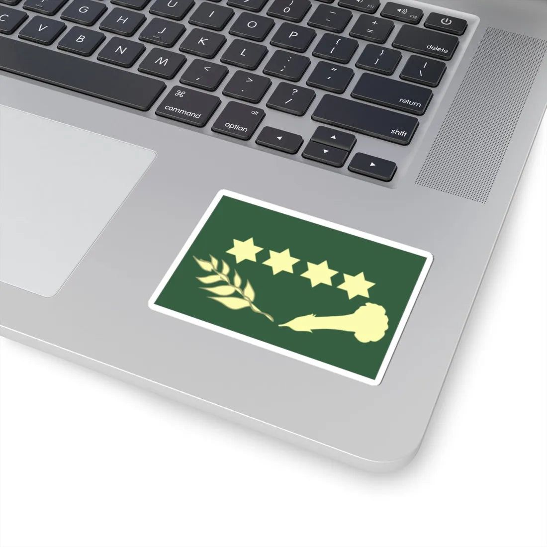 GenEjercitoEB Faena (Bolivia) (Military Rank) STICKER Vinyl Kiss-Cut Decal - The Sticker Space