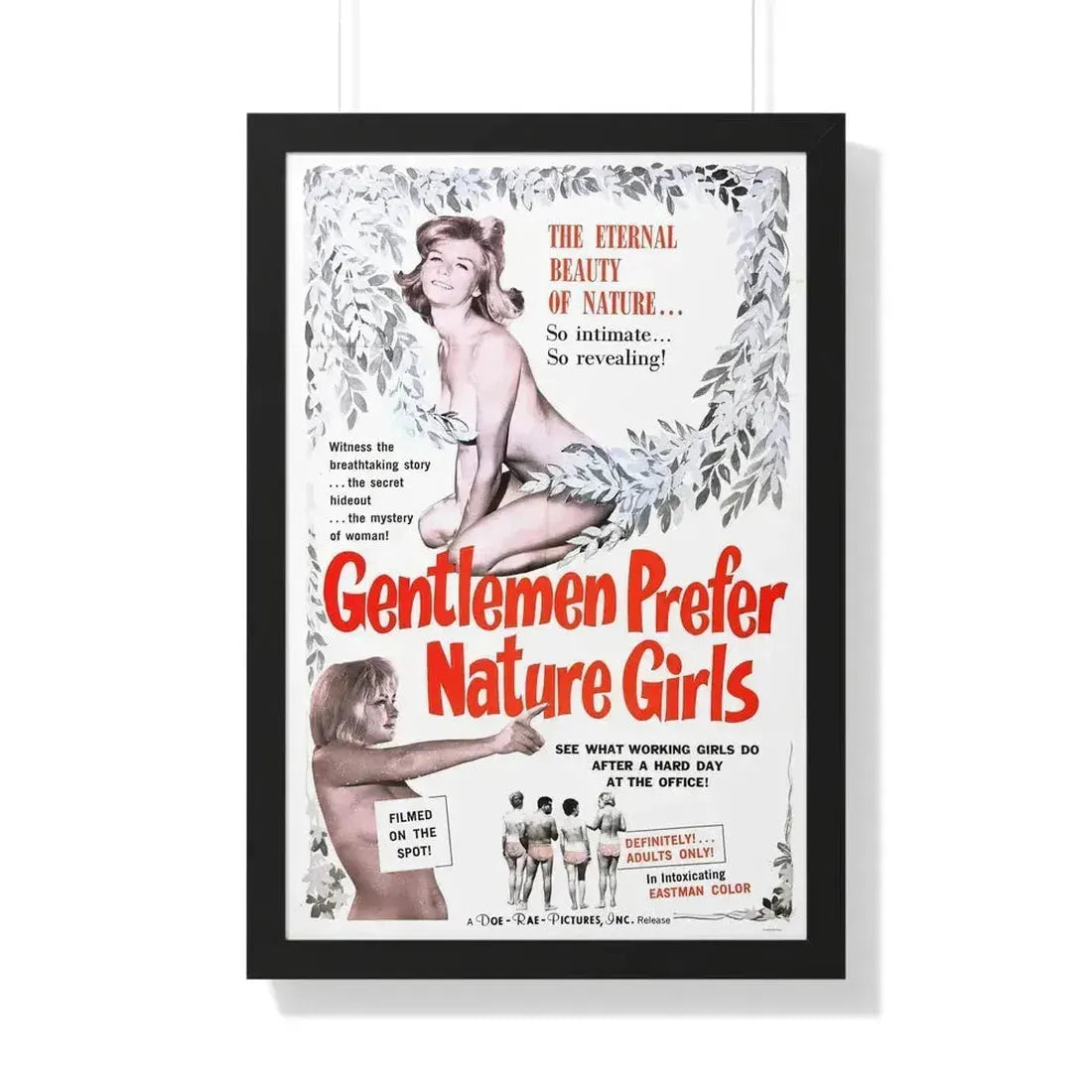 GENTLEMEN PREFER NATURE GIRLS 1963 - Framed Movie Poster 20" x 30" Black - The Sticker Space