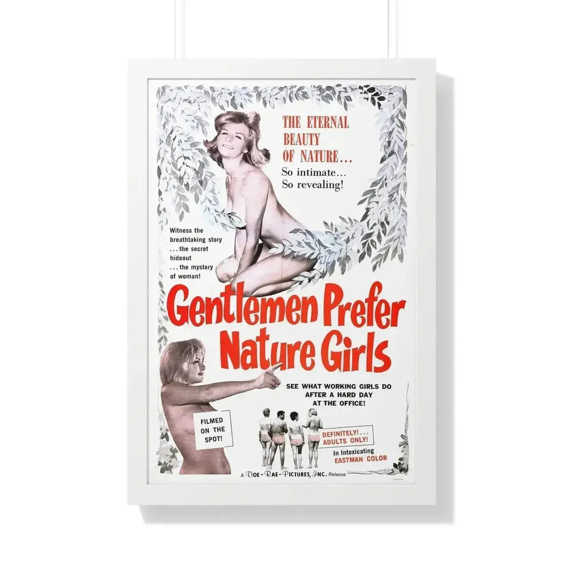 GENTLEMEN PREFER NATURE GIRLS 1963 - Framed Movie Poster - The Sticker Space