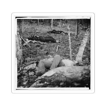 Gettysburg, Pa. Four Dead Soldiers in the Woods Near Little Round Top (U.S. Civil War) STICKER Vinyl Kiss-Cut Decal 2 Inch White - The Sticker Space