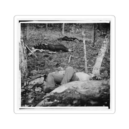 Gettysburg, Pa. Four Dead Soldiers in the Woods Near Little Round Top (U.S. Civil War) STICKER Vinyl Kiss-Cut Decal 6 Inch White - The Sticker Space