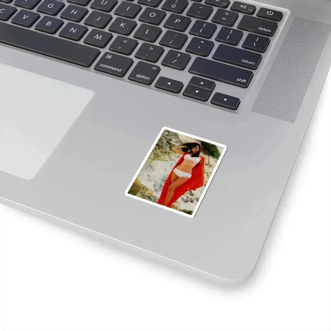 Gila Golan #01 (Vintage Female Icon) STICKER Vinyl Kiss-Cut Decal - The Sticker Space