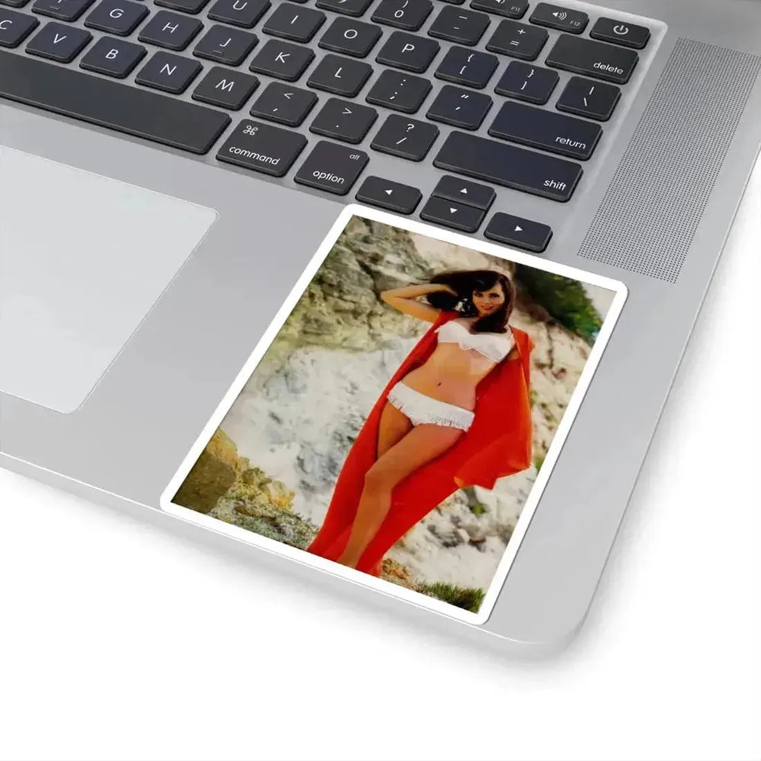 Gila Golan #01 (Vintage Female Icon) STICKER Vinyl Kiss-Cut Decal - The Sticker Space