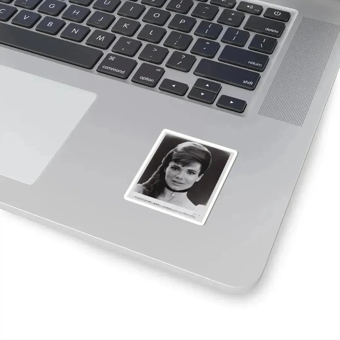 Gila Golan #04 (Vintage Female Icon) STICKER Vinyl Kiss-Cut Decal - The Sticker Space