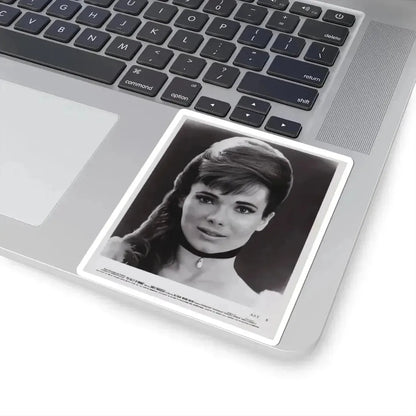 Gila Golan #04 (Vintage Female Icon) STICKER Vinyl Kiss-Cut Decal - The Sticker Space