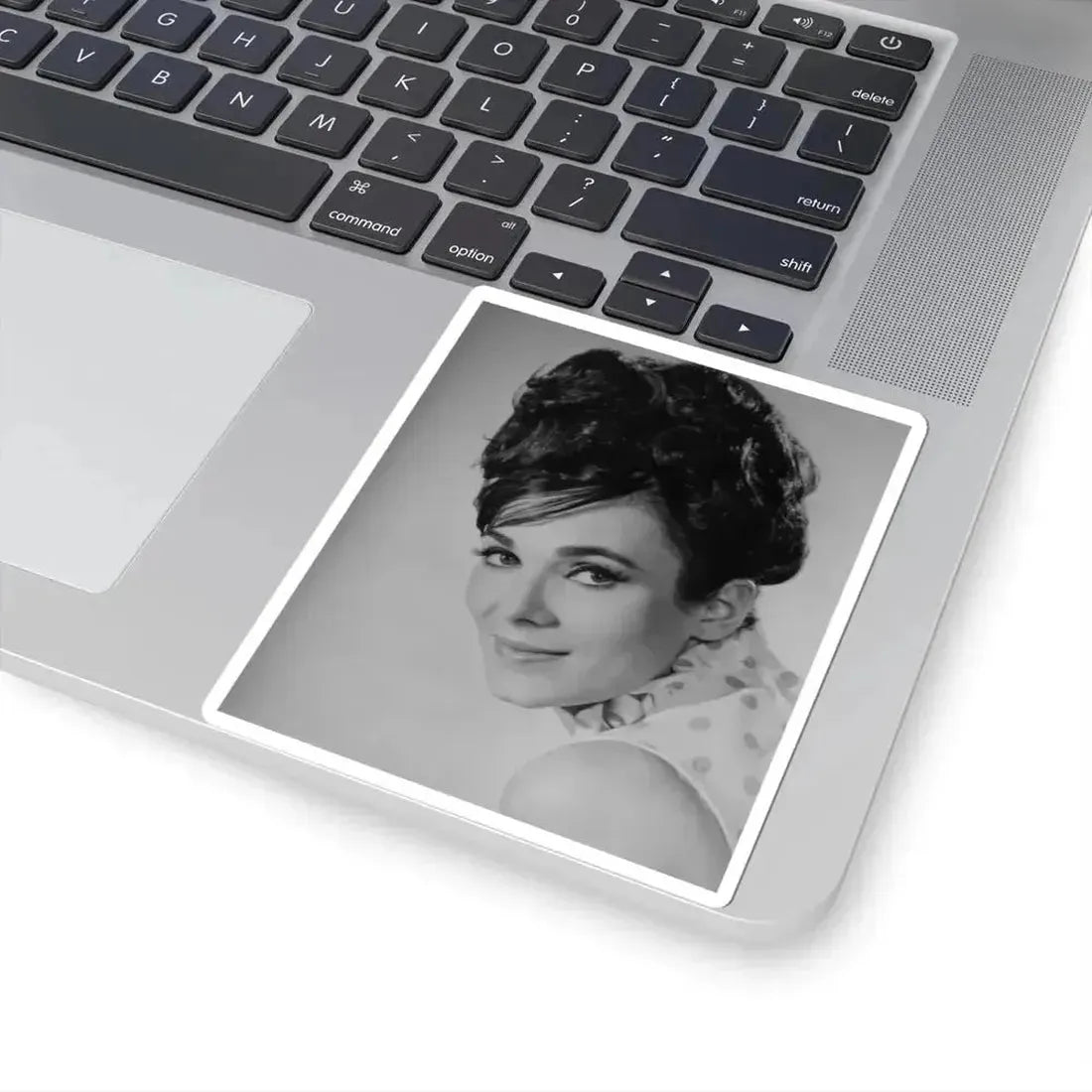 Gila Golan #107 (Vintage Female Icon) STICKER Vinyl Kiss-Cut Decal - The Sticker Space