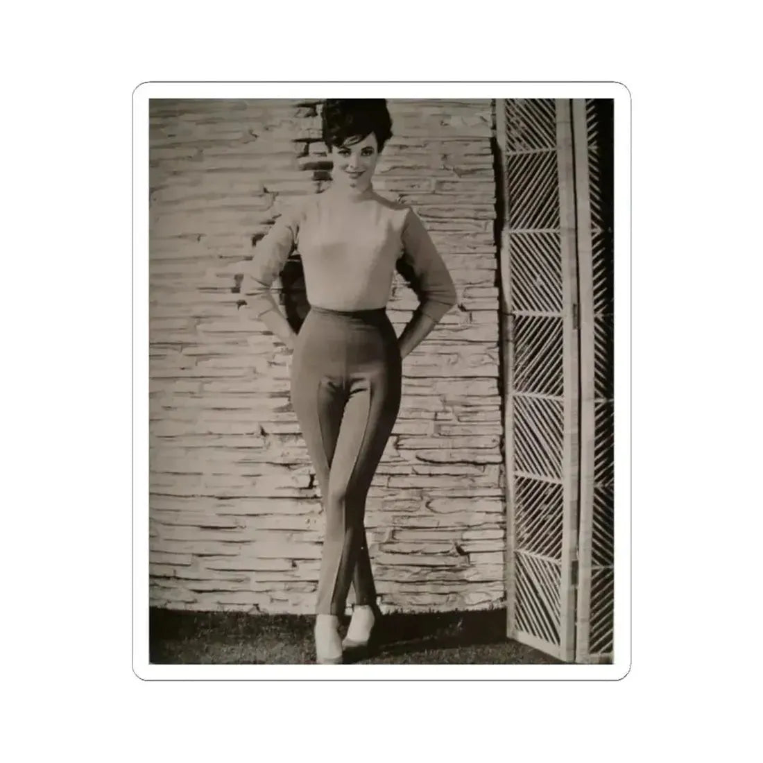 Gila Golan #110 (Vintage Female Icon) STICKER Vinyl Kiss-Cut Decal 2 Inch White - The Sticker Space