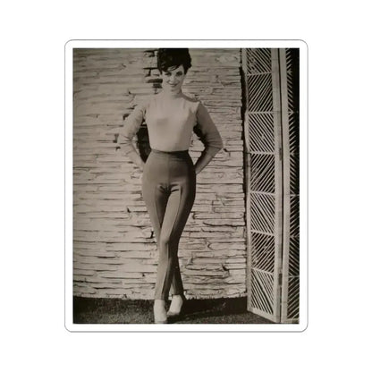 Gila Golan #110 (Vintage Female Icon) STICKER Vinyl Kiss-Cut Decal 3 Inch White - The Sticker Space