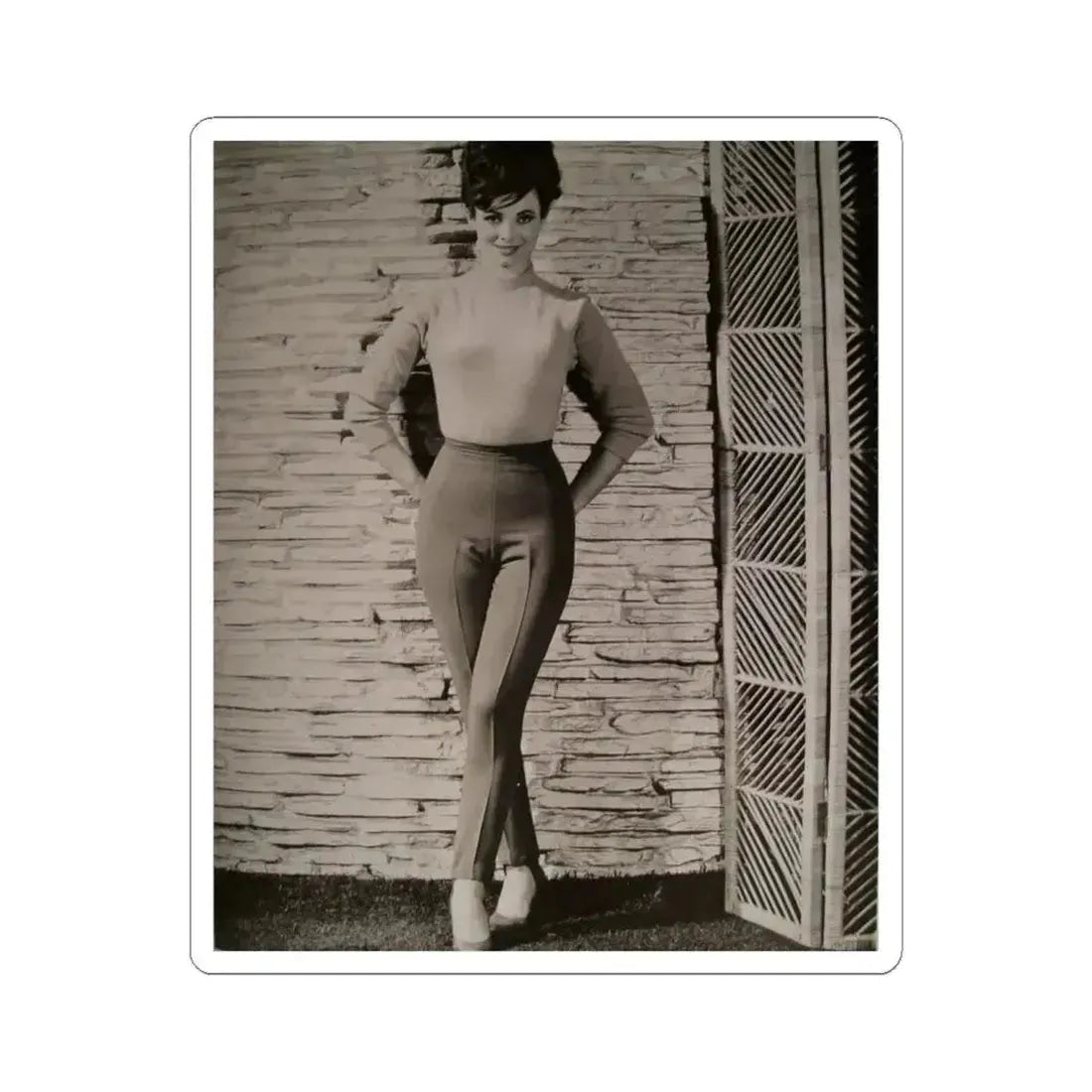 Gila Golan #110 (Vintage Female Icon) STICKER Vinyl Kiss-Cut Decal 6 Inch White - The Sticker Space