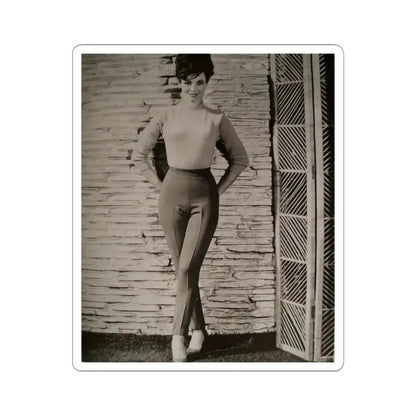 Gila Golan #110 (Vintage Female Icon) STICKER Vinyl Kiss-Cut Decal 6 Inch White - The Sticker Space