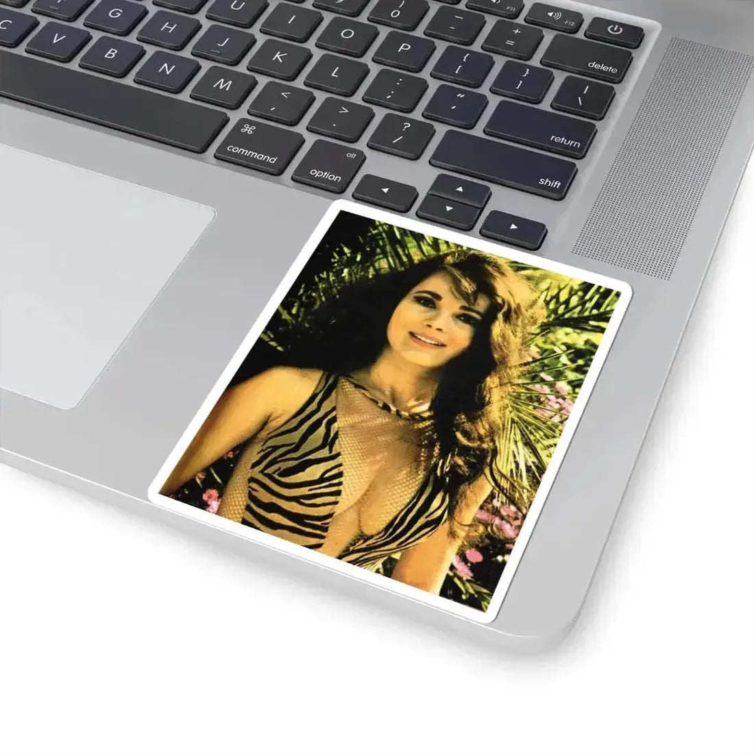 Gila Golan #121 (Vintage Female Icon) STICKER Vinyl Kiss-Cut Decal - The Sticker Space