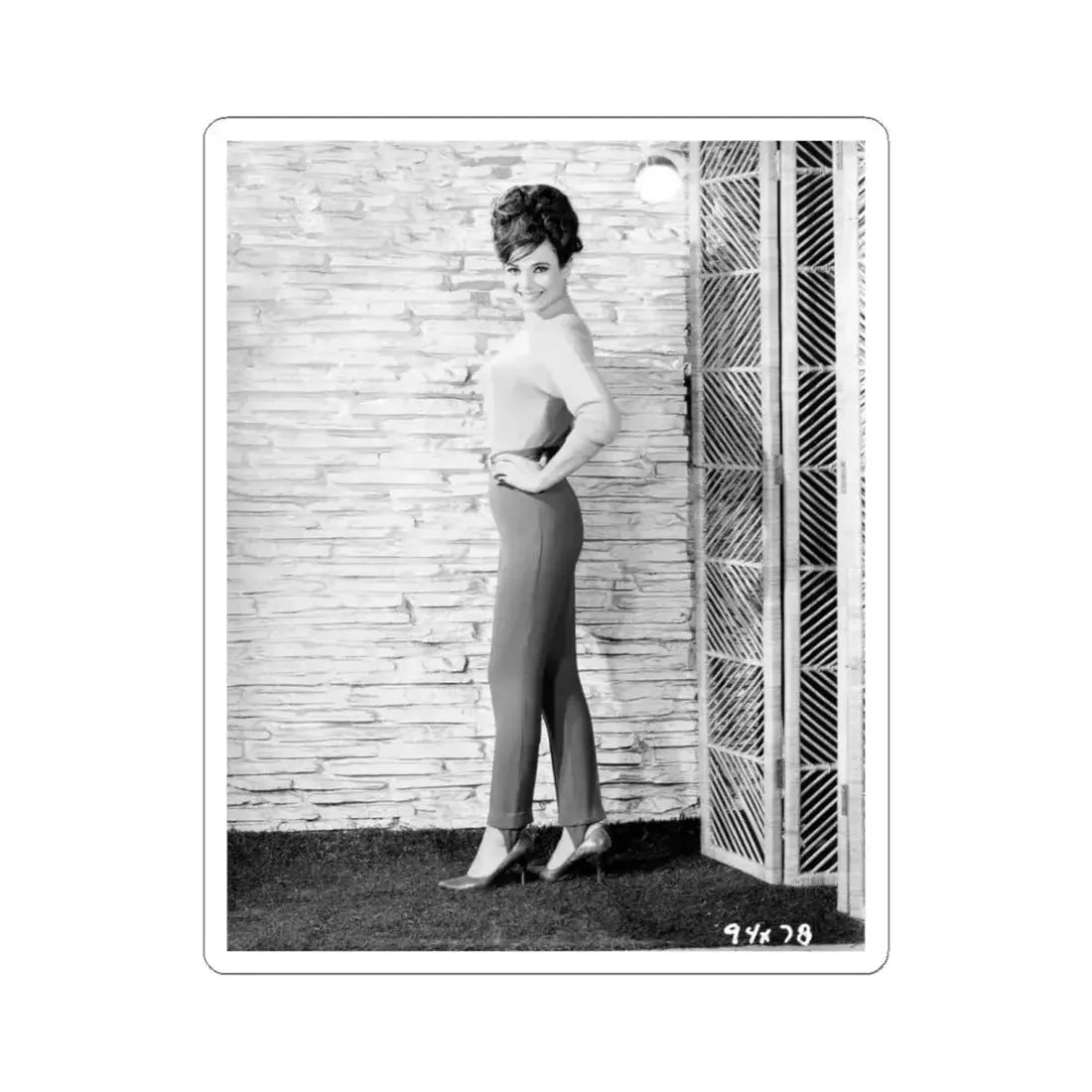 Gila Golan #122 (Vintage Female Icon) STICKER Vinyl Kiss-Cut Decal 6 Inch White - The Sticker Space