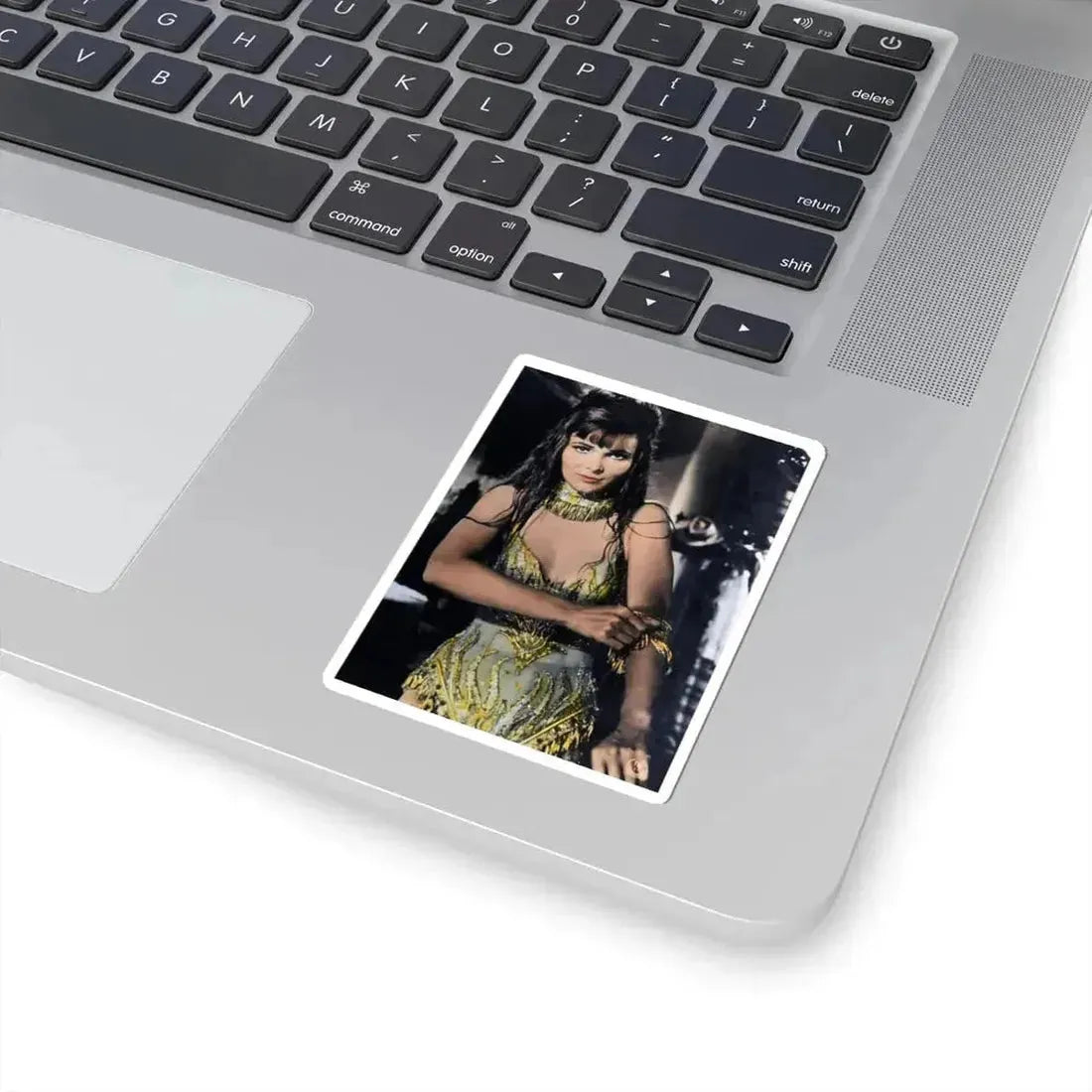 Gila Golan #124 (Vintage Female Icon) STICKER Vinyl Kiss-Cut Decal - The Sticker Space