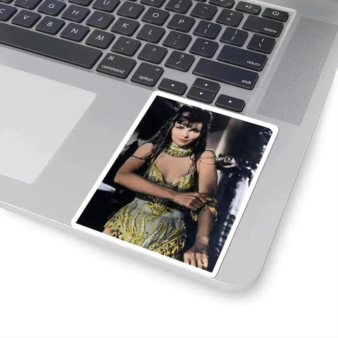 Gila Golan #124 (Vintage Female Icon) STICKER Vinyl Kiss-Cut Decal - The Sticker Space