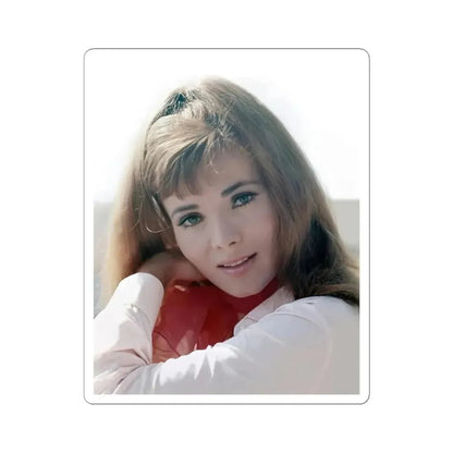 Gila Golan #140 (Vintage Female Icon) STICKER Vinyl Kiss-Cut Decal 6 Inch White - The Sticker Space