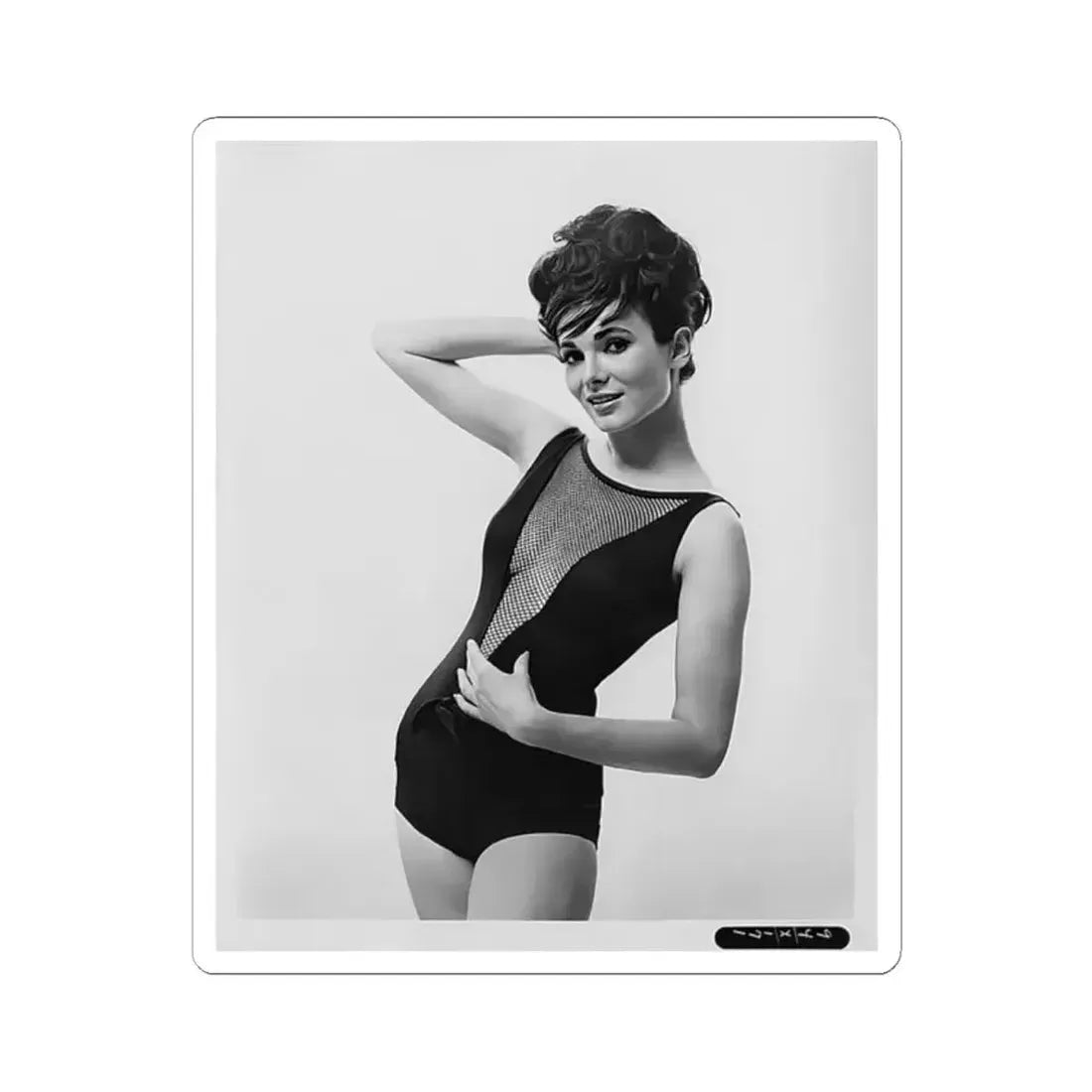 Gila Golan #162 (Vintage Female Icon) STICKER Vinyl Kiss-Cut Decal 2 Inch White - The Sticker Space