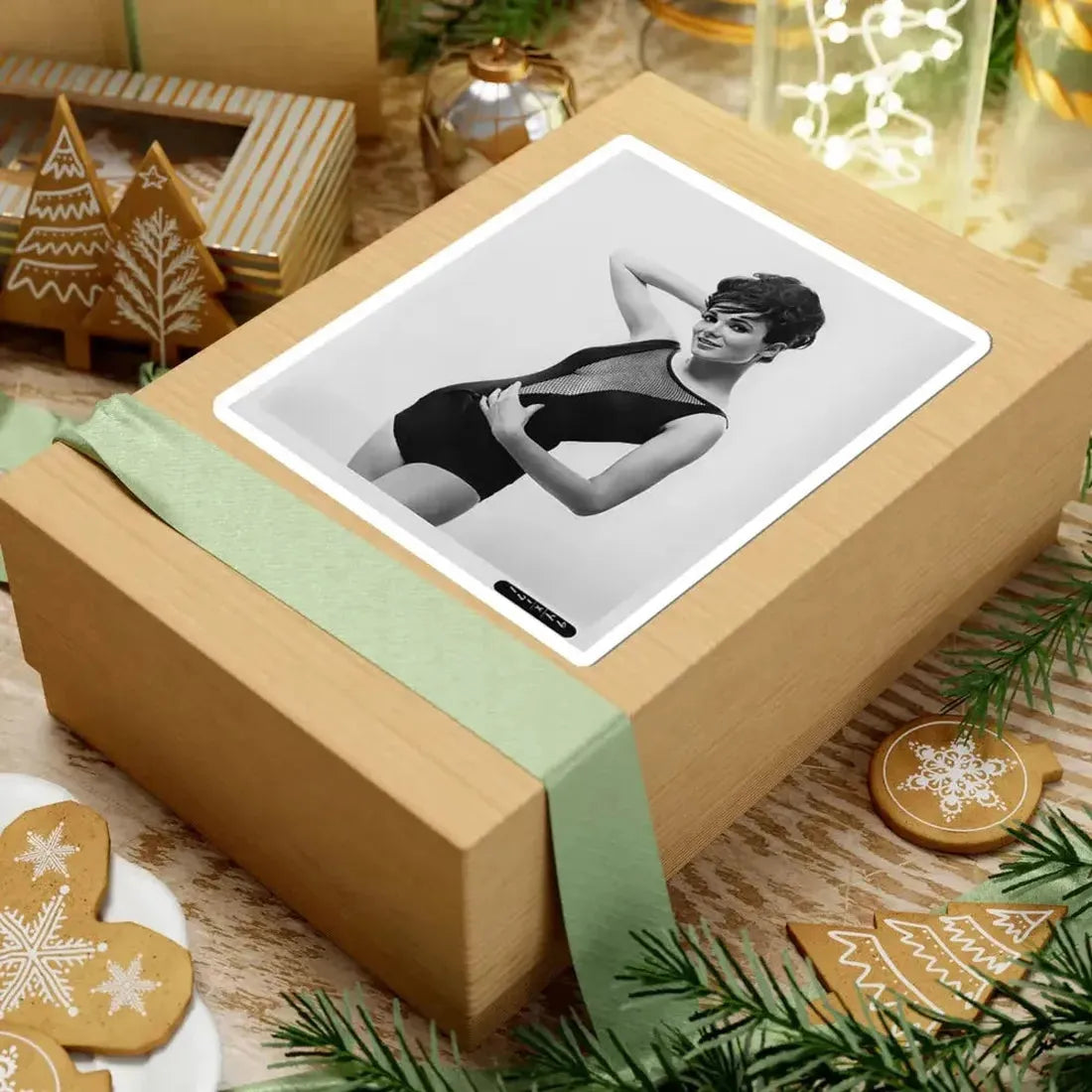 Gila Golan #162 (Vintage Female Icon) STICKER Vinyl Kiss-Cut Decal - The Sticker Space