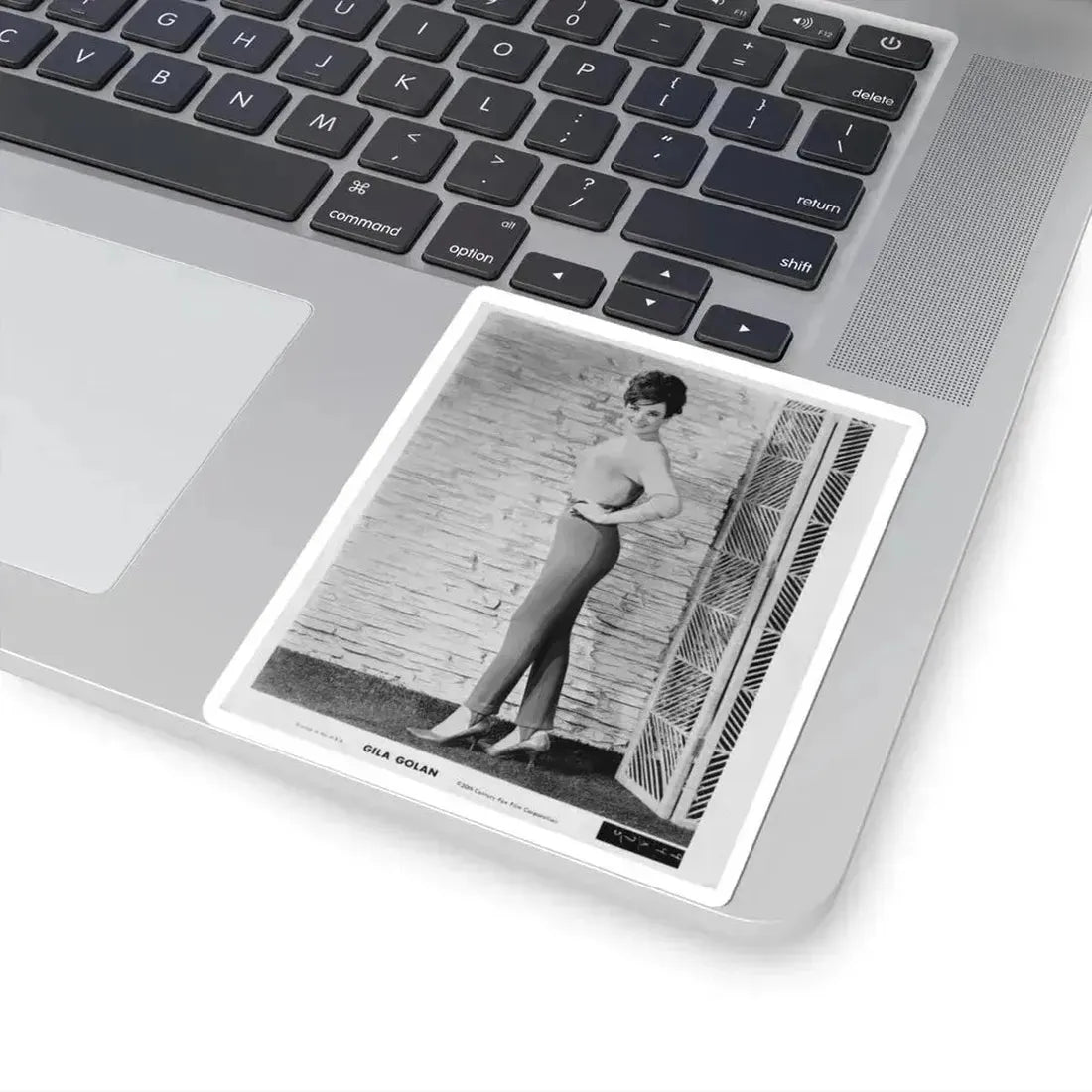 Gila Golan #39 (Vintage Female Icon) STICKER Vinyl Kiss-Cut Decal - The Sticker Space