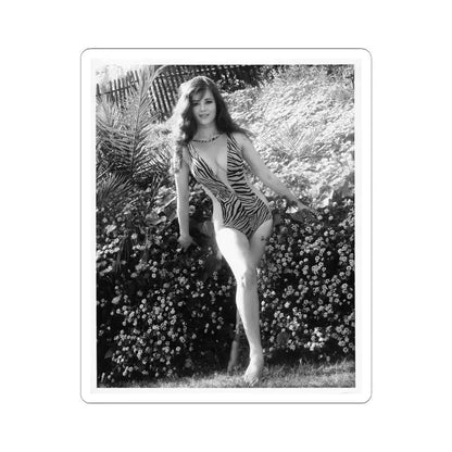 Gila Golan #62 (Vintage Female Icon) STICKER Vinyl Kiss-Cut Decal 4 Inch White - The Sticker Space