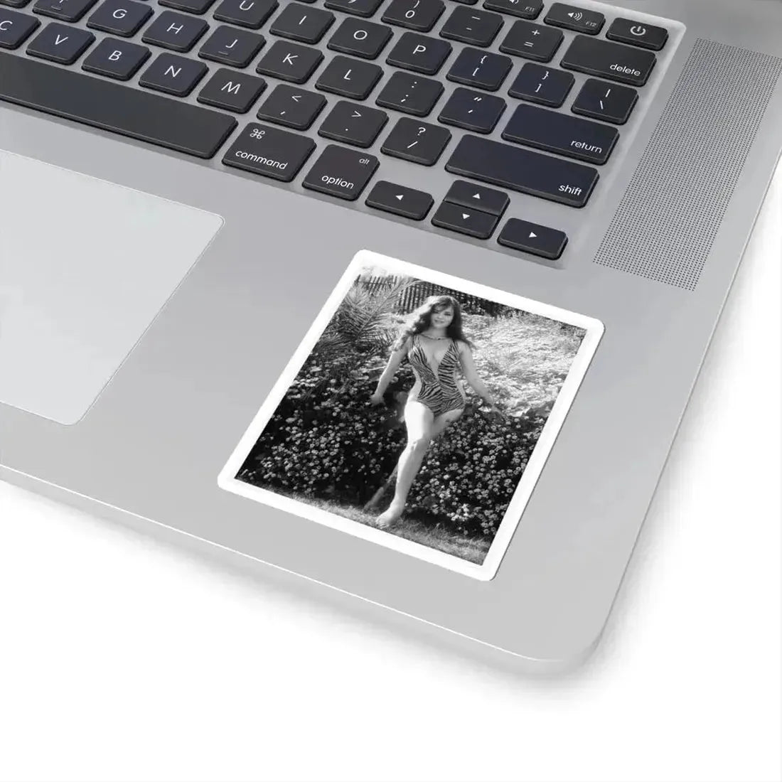 Gila Golan #62 (Vintage Female Icon) STICKER Vinyl Kiss-Cut Decal - The Sticker Space