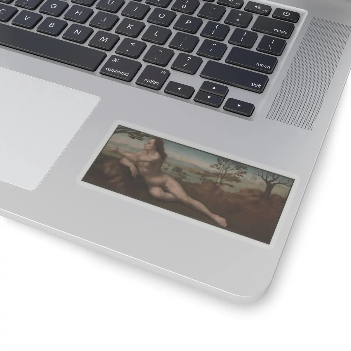 SKU:TSS-STICK-GLND-4X4-1N1BE Sizes:4" × 4" Types:Transparent