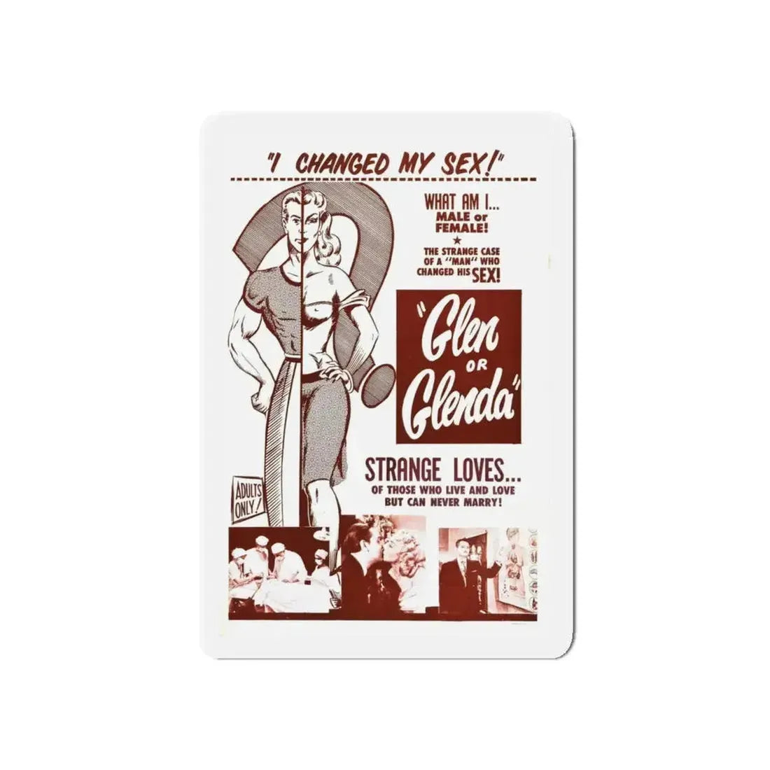 GLEN OR GLENDA 1953 Movie Poster - Refrigerator Magnet - The Sticker Space