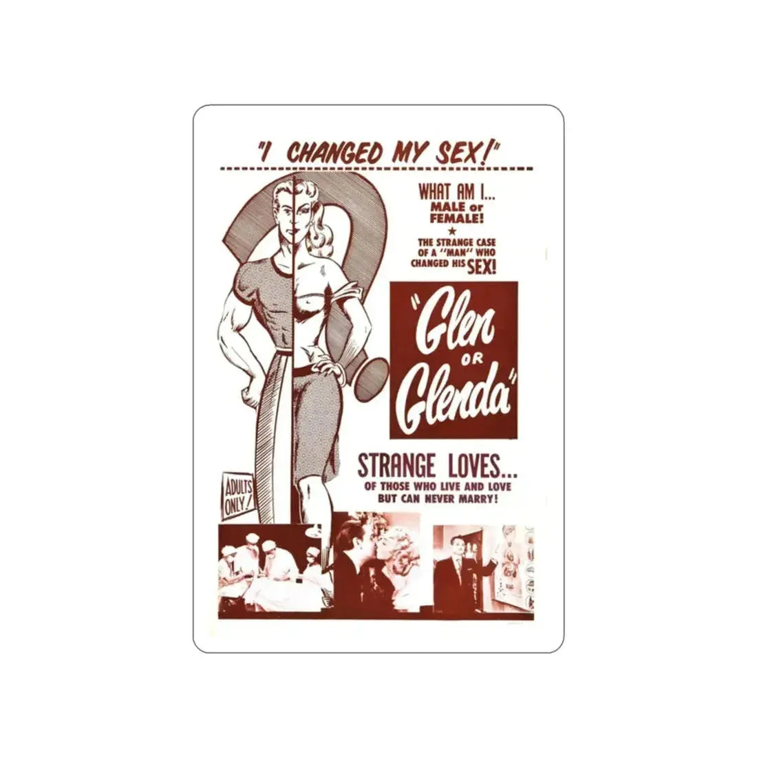 GLEN OR GLENDA 1953 Movie Poster STICKER Vinyl Die-Cut Decal - The Sticker Space