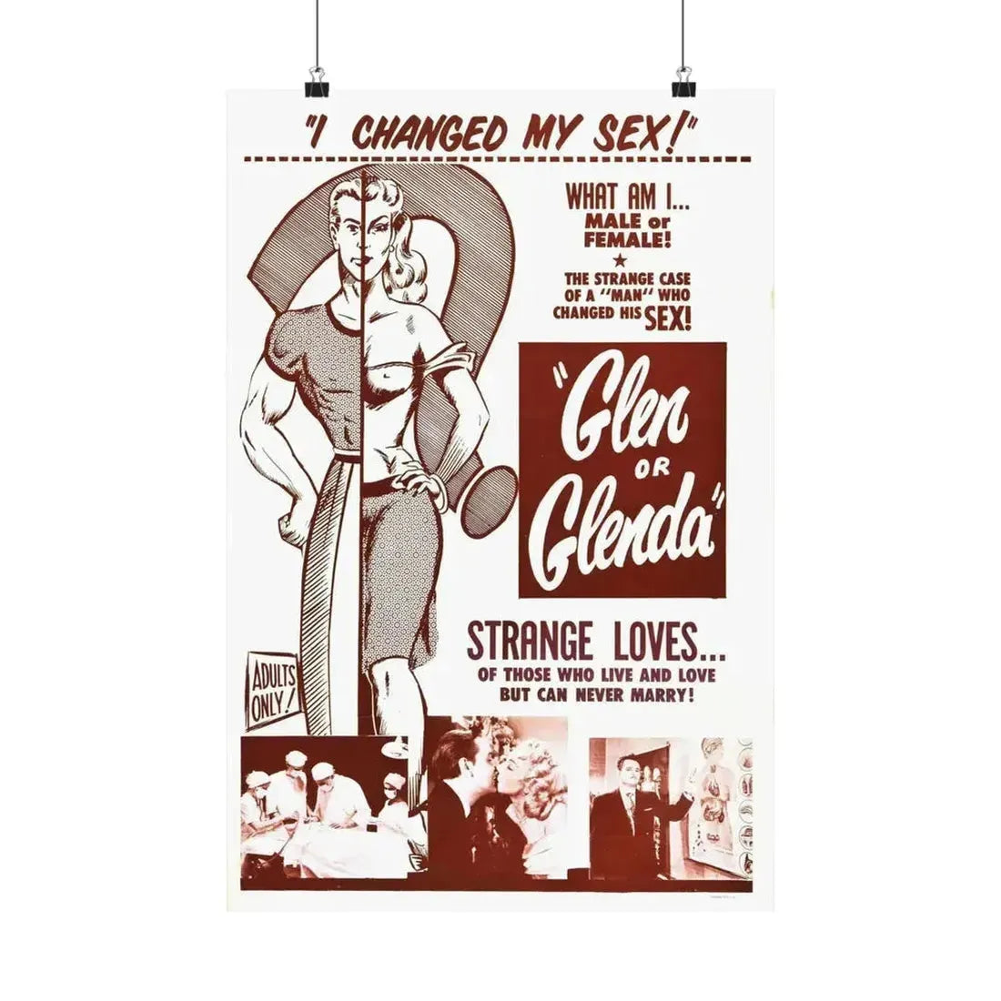 GLEN OR GLENDA 1953 - Paper Movie Poster 16″ x 24″ Matte - The Sticker Space