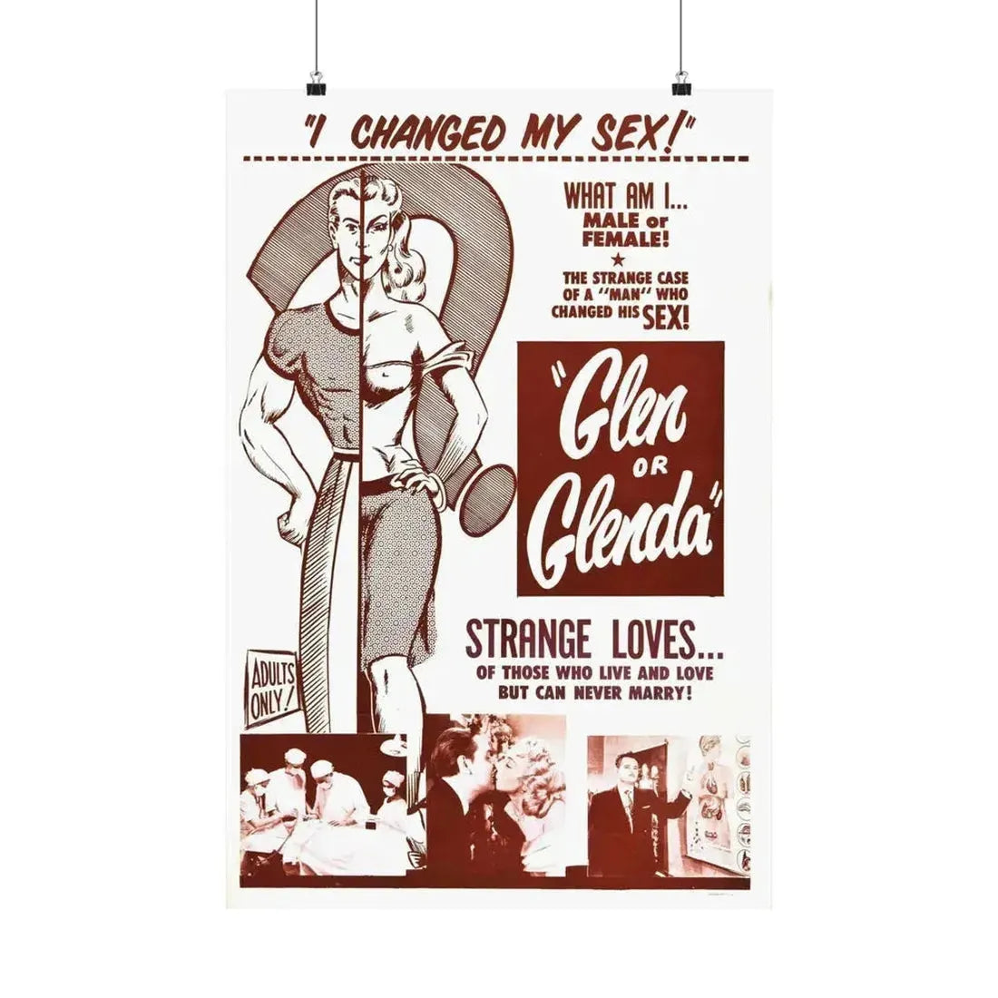 GLEN OR GLENDA 1953 - Paper Movie Poster 20″ x 30″ Matte - The Sticker Space