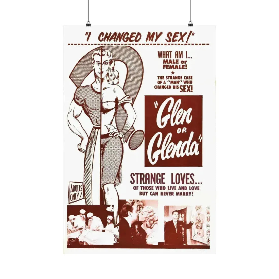 GLEN OR GLENDA 1953 - Paper Movie Poster 24″ x 36″ Matte - The Sticker Space