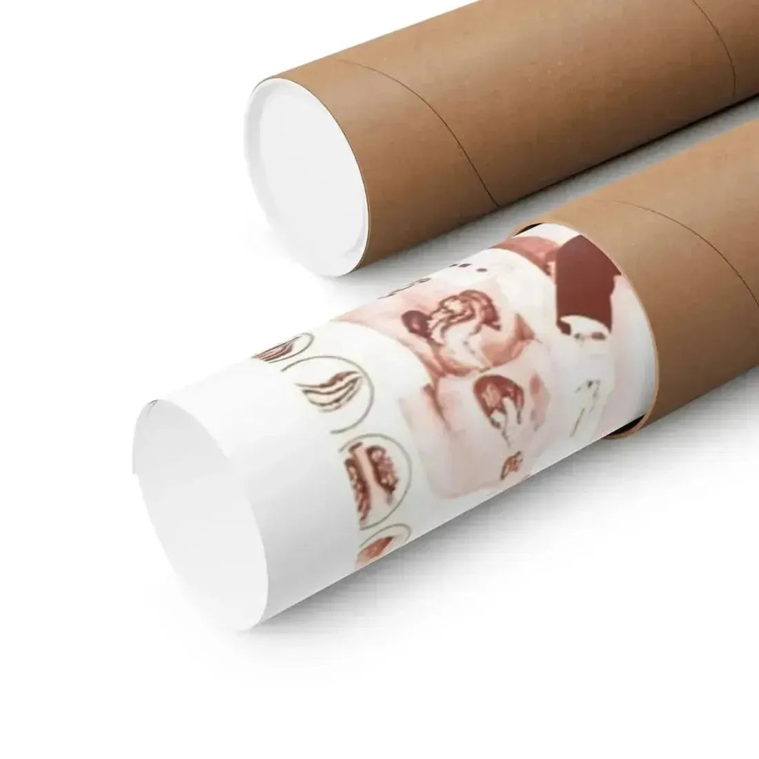 GLEN OR GLENDA 1953 - Paper Movie Poster - The Sticker Space