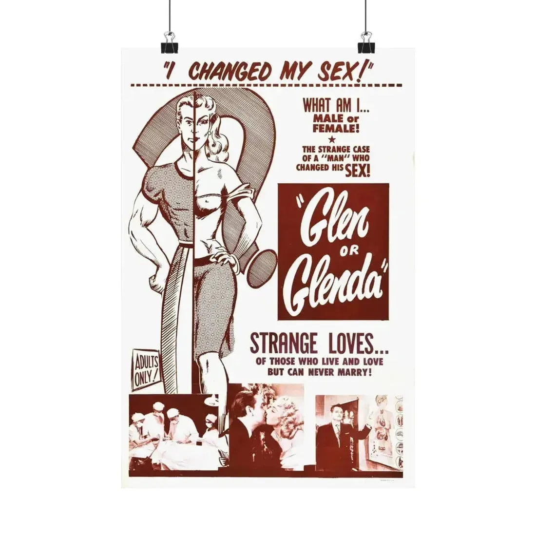 GLEN OR GLENDA 1953 - Paper Movie Poster - The Sticker Space
