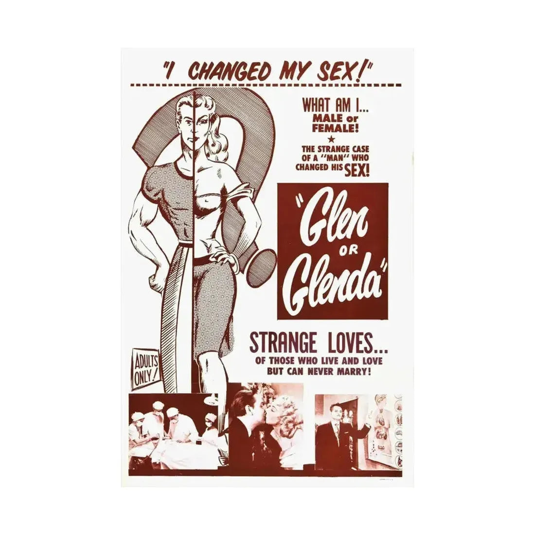 GLEN OR GLENDA 1953 - Paper Movie Poster - The Sticker Space